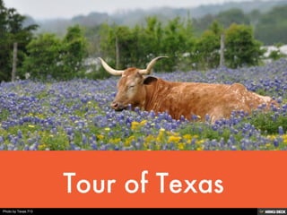 Photo by Texas.713
 