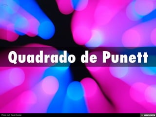 Photo by † David Gunter