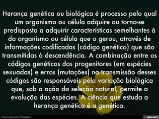 Photo by Hammonton Photography