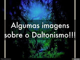 Photo by garlandcannon