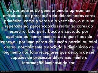 Photo by murilocardoso