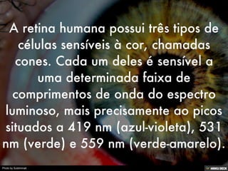 Photo by Subliminati