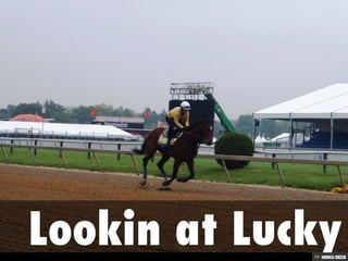 Sunrise at Old Hilltop