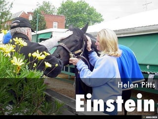Sunrise at Old Hilltop