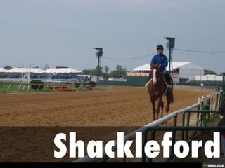 Sunrise at Old Hilltop