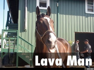 Sunrise at Old Hilltop