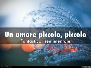 Photo by Will Montague
 