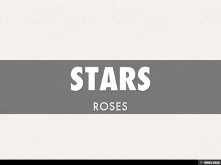 STARS  ROSES 