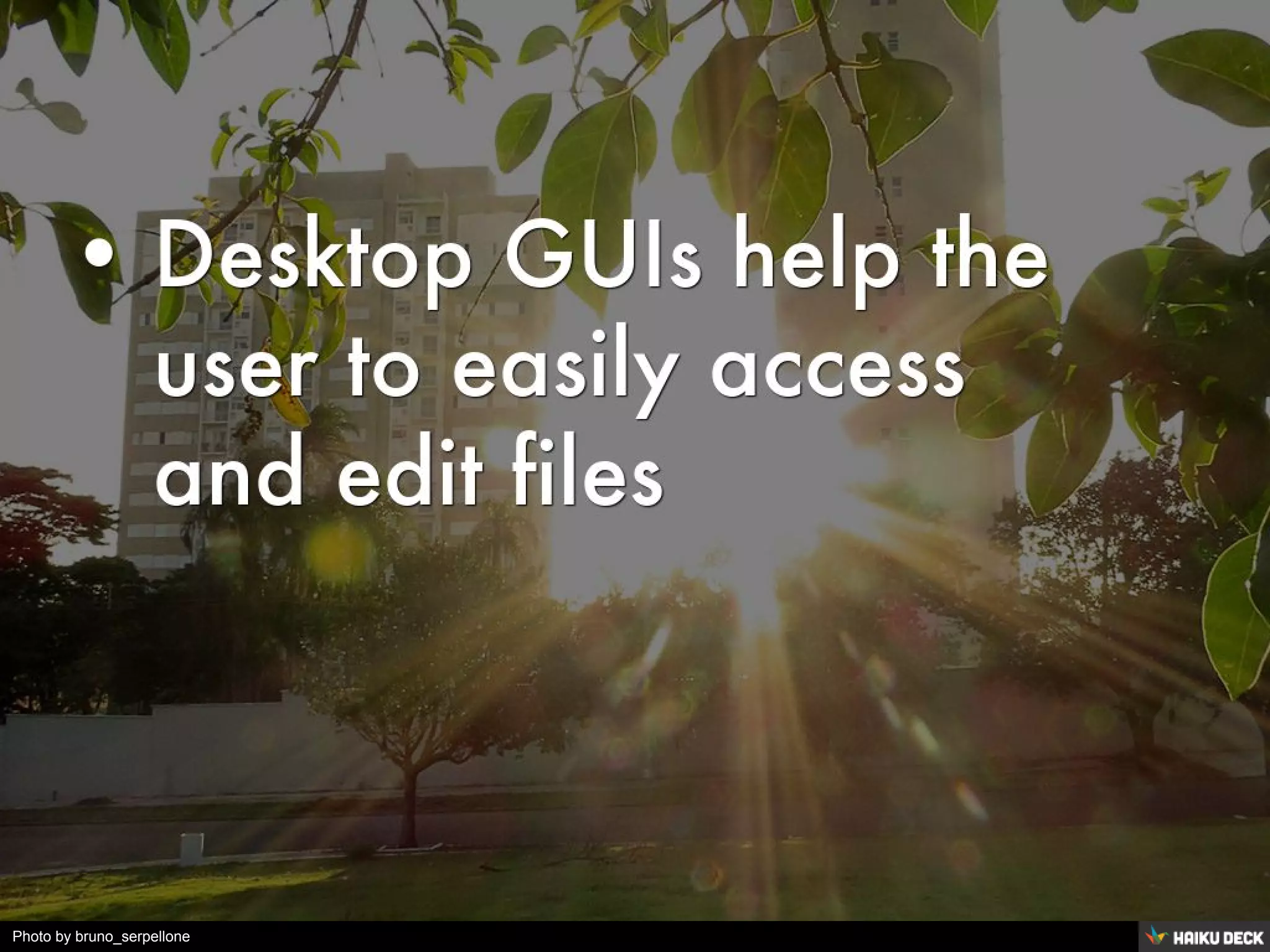 Photo by bruno_serpellone