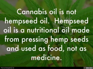 Photo by floresyplantas.net
 