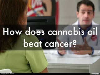 Photo by Alex E. Proimos
 