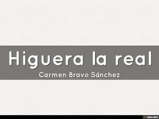 Higuera la real  Carmen Bravo Sánchez 