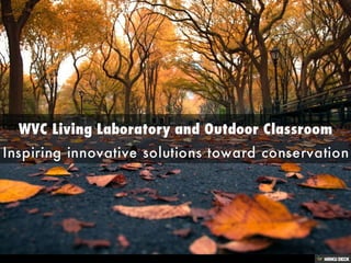 WVC Living Laboratory and Outdoor Classroom  Inspiring innovative solutions toward conservation
 