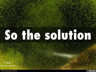 Photo by Macroscopic Solutions
 