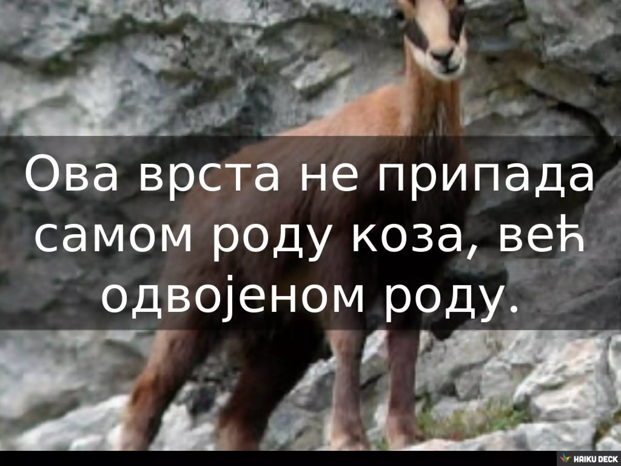 Biljni i zivotinjski svet Srbije | PPT