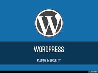 Wordpress  Plugins &amp; Security 