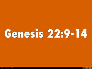 Photo by ronsaunders47
 