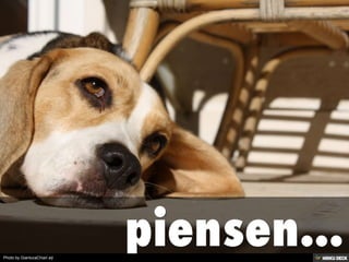 Photo by GianlucaChiari øÿ
 