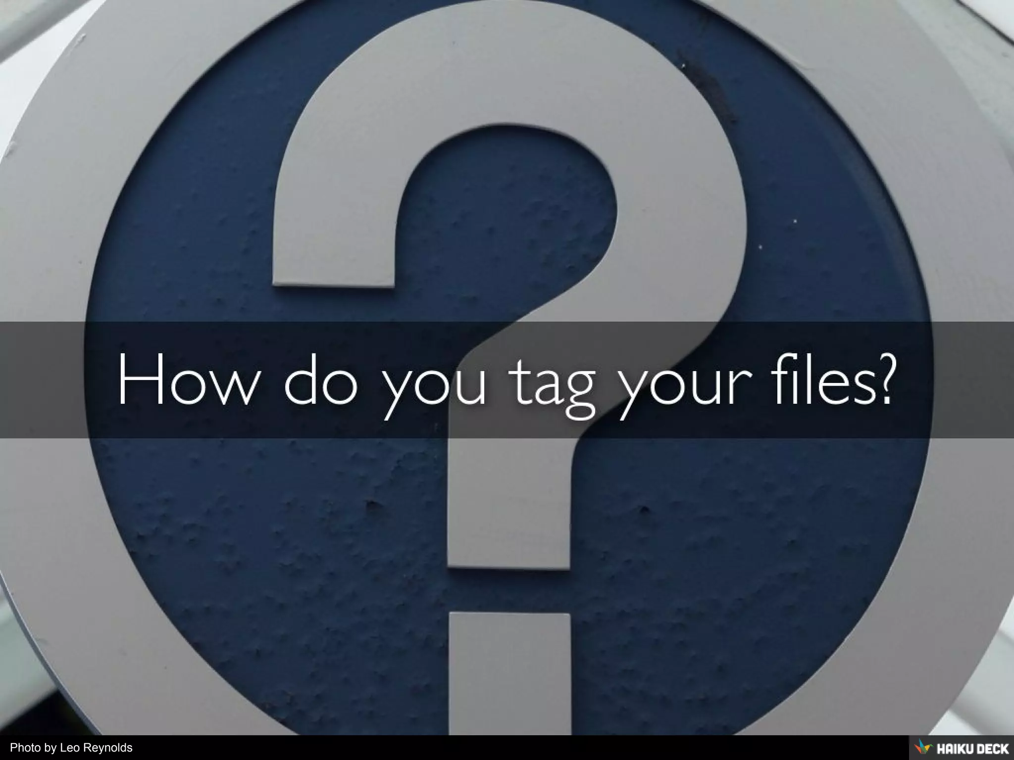 Photo by Leo Reynolds
 