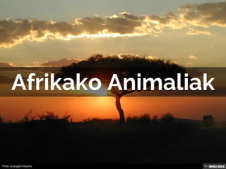 Afrikako Animaliak 