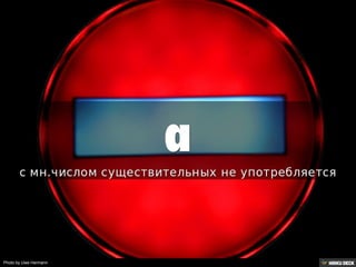 Photo by Uwe Hermann
 