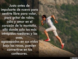 Manifiesto Del Skyrunner