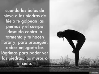 Manifiesto Del Skyrunner