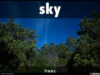 Photo by VinothChandar 
 