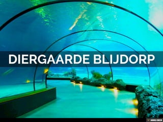 10 BIJZONDERE EVENTLOCATIES IN ROTTERDAM