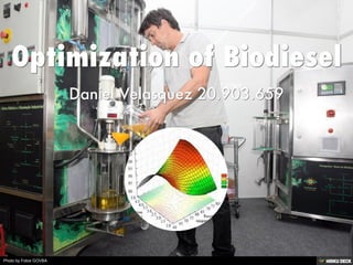 Optimization of Biodiesel  Daniel Velasquez 20.903.659 