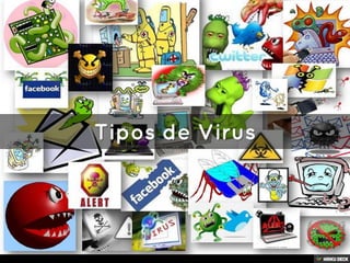 Los Virus