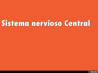 Sistema Nervioso