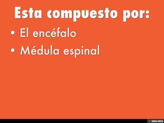 Sistema Nervioso