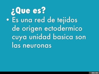 Sistema Nervioso