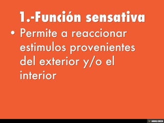Sistema Nervioso