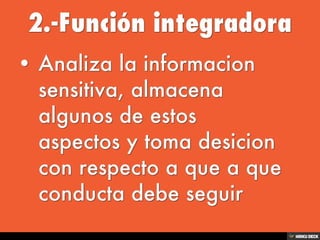 Sistema Nervioso