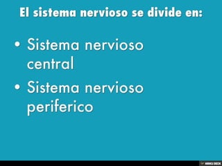 Sistema Nervioso