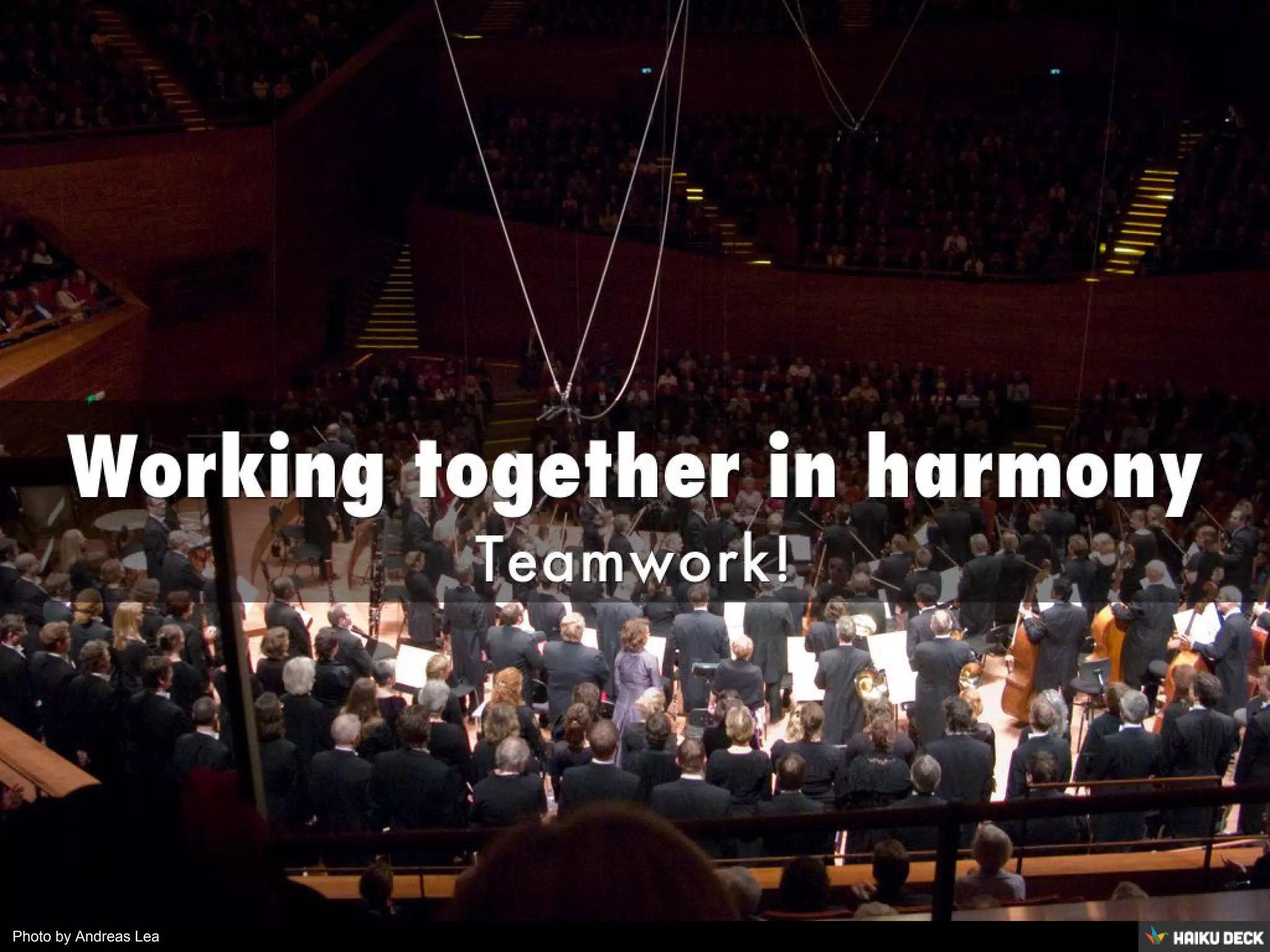 Photo by Andreas Lea