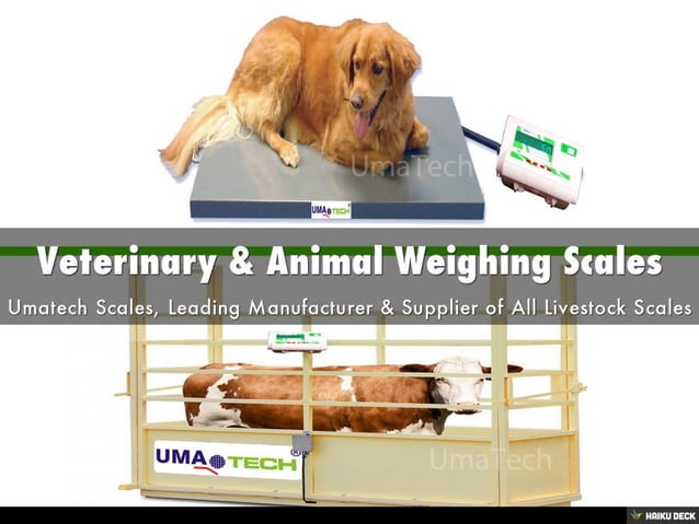 Veterinary & Animal Weighing Scales Manufacturer Tamil Nadu