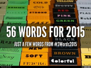 Photo by Josh Kenzer
 