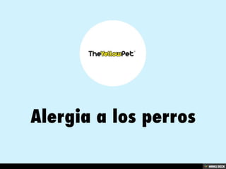 Alergia a los perros