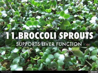 Photo by julie gibbons
 