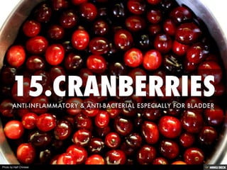 Photo by Half Chinese
 