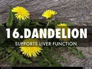 Photo by randihausken
 