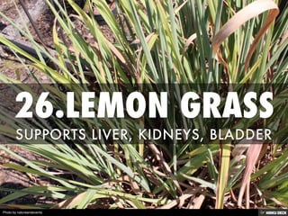 Photo by natureandevents
 