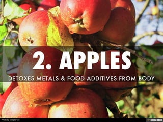 Photo by craiglea123
 