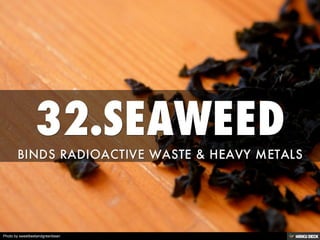 Photo by sweetbeetandgreenbean
 