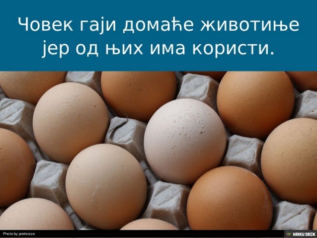 Домаће животиње у нашем селу