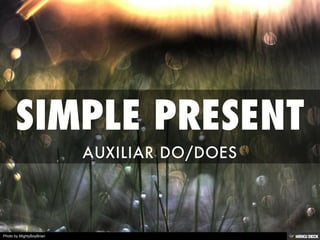SIMPLE PRESENT  AUXILIAR DO/DOES 
