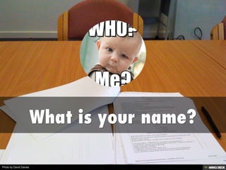 Photo by David Davies
 